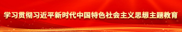 骚逼逼电影院学习贯彻习近平新时代中国特色社会主义思想主题教育